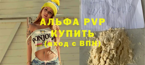 индика Иннополис