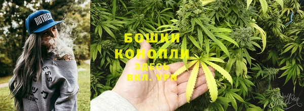 бутират Инта