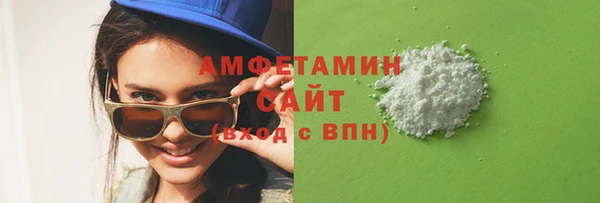 индика Иннополис