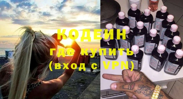 индика Иннополис