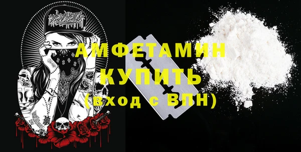 индика Иннополис