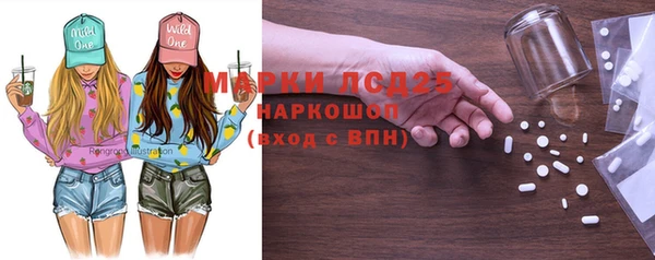 индика Иннополис