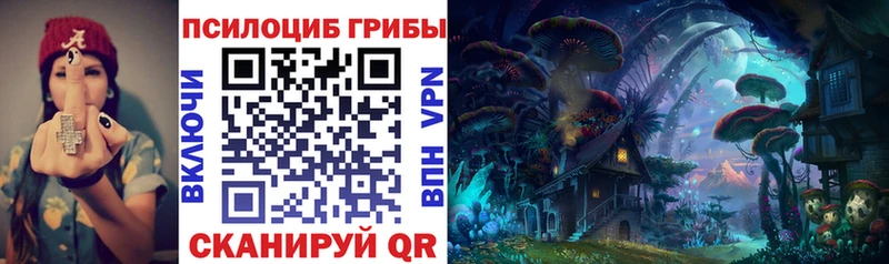 Псилоцибиновые грибы Cubensis Вельск